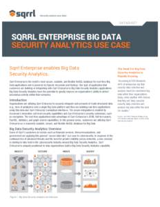  	
    DATASHEET SQRRL ENTERPRISE BIG DATA SECURITY ANALYTICS USE CASE