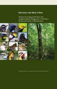 Silviculture with Birds in Mind Options for Integrating Timber and Songbird Habitat Management in Northern Hardwood Stands in Massachusetts  Adapted from Vermont’s Foresters for the Birds Project