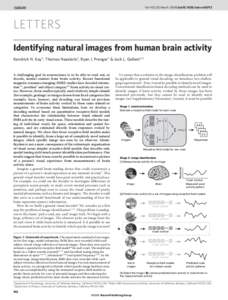 Vol 452 | 20 March 2008 | doi:nature06713  LETTERS Identifying natural images from human brain activity Kendrick N. Kay1, Thomas Naselaris2, Ryan J. Prenger3 & Jack L. Gallant1,2