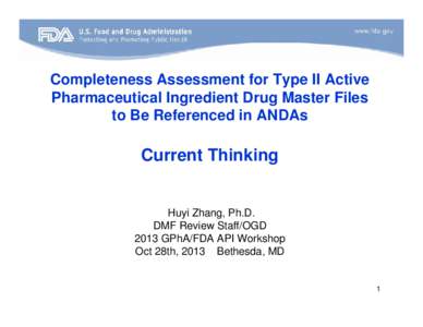 Completeness Assessment for Type II Active Pharmaceutical Ingredient Drug Master Files to Be Referenced in ANDAs