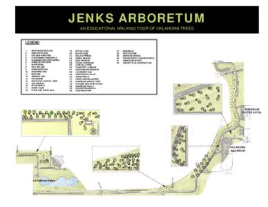 JENKS ARBORETUM AN EDUCATIONAL WALKING TOUR OF OKLAHOMA TREES LEGEND NORTHERN RED OAK SAWTOOTH OAK