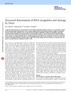 Ribonucleases / Gene expression / Dicer / RNA interference / Drosha / MicroRNA / Small interfering RNA / RNA-induced silencing complex / RNA polymerase / Genetics / RNA / Biology