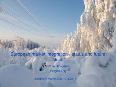 European market integration status and further steps