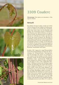 3309 Couderc Abstammung: Vitis riparia var. tomentosa x Vitis rupestris Martin