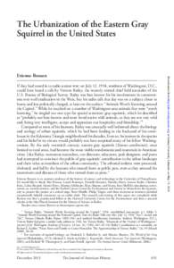 The Urbanization of the Eastern Gray Squirrel in the United States If they had tuned in to radio station  on July 12, 1934, residents of Washington, D.C., could have heard a talk by Vernon Bailey, the recently r