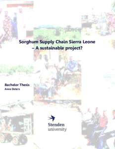 Sorghum Supply Chain Sierra Leone – A sustainable project? Bachelor Thesis Anne Deters