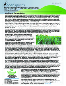 openspaces  Late Summer 2013 Newsletter for Whiterock Conservancy A Nonprofit Land Trust