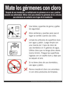 Kill Germs with Bleach(spanish).indd