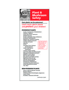 Plant & Mushroom Safety Even plants can be poisonous!  Learn more about plants