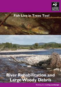 Fish Live in Trees Too!  River Rehabilitation and Large Woody Debris Working for a Living Landscape