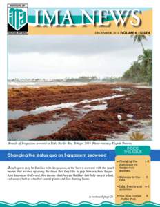 DECEMBER 2014 | VOLUME 4 - ISSUE 4  Mounds of Sargassum seaweed at Little Rockly Bay, Tobago, 2014. Photo courtesy Elspeth Duncan Changing the status quo on Sargassum seaweed