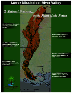 Lower Mississippi River Valley A National Treasure… in the Heart of the Nation 22 million acre floodplain covering portions of 6 states