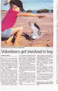 Volunteer Claudia makes a release at Roebuck Bay.  Picture: l(andy Curran Volunteers get involved in bay KANDY CURRAN