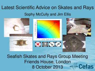 Latest Scientific Advice on Skates and Rays Sophy McCully and Jim Ellis Seafish Skates and Rays Group Meeting Friends House, London 8 October 2013