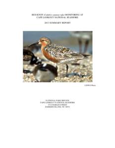 Ornithology / Cape Lookout National Seashore / Red Knot / Bird migration / Knot / Core Banks /  North Carolina / Flag / Geography of North Carolina / North Carolina / Outer Banks