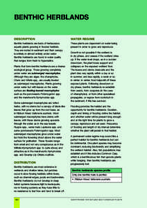 Water_regime_for_wetland_and_floodplain_plants