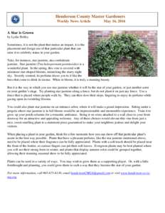 Henderson County Master Gardeners Weekly News Article May 16, 2016  A Star is Grown