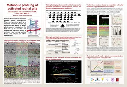 Metabolic profiling of activated retinal glia Müller glia displayed enhanced metabolic signals for glutamate metabolism, osmoregulation, retinoid metabolism, and anti-oxidation after LIRD Molecular classes based on ultr