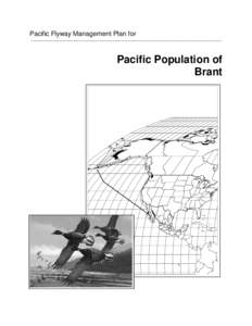 Pacific Flyway Management Plan for ________________________________________________________________________________________________________ Pacific Population of Brant