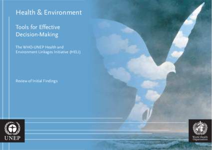 Health & Environment Tools for Effective Decision-Making The WHO-UNEP Health and Environment Linkages Initiative (HELI)