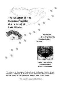 The Situation of the Eurasian Fishotter (Lutra lutra) at Lake Uluabat Abundance Breeding Grounds