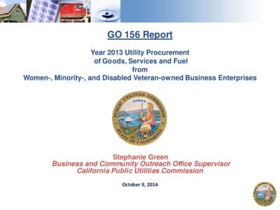 GO 156 Report Year 2013 Utility Procurement of Goods, Services and Fuel from Women-, Minority-, and Disabled Veteran-owned Business Enterprises