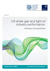 March[removed]US shale gas and tight oil industry performance: challenges and opportunities