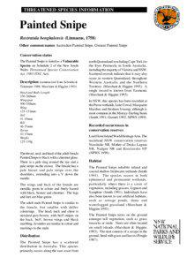 Rostratula benghalensis - profile (PDF 180 KB)
