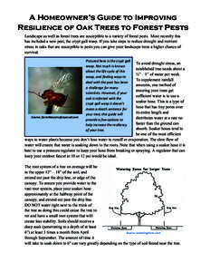 A Homeowner’s Guide to Improving 	
   Resilience of Oak Trees to Forest Pests Landscape as well as forest trees are susceptible to a variety of forest pests. Most recently this has included a new pest, the crypt gall 