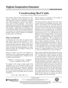 publication[removed]Crossbreeding Beef Cattle Scott P. Greiner, Extension Animal Scientist, Virginia Tech  The economic climate of today’s beef business is challenging. Commercial cow-calf producers are faced