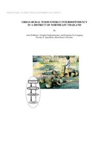 WOOD FUEL FLOWS, FIELD DOCUMENT 26, PART V  URBAN-RURAL WOOD ENERGY INTERDEPENDENCY IN A DISTRICT OF NORTHEAST THAILAND By Anan Polthanee, Nongluk Suphanchaimat, and Pongchan Na-Lampang