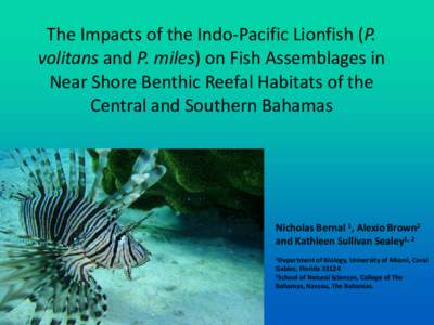 The Impacts of the Indo-Pacific Lionfish (P. volitans and P. miles) on Fish Assemblages in Near Shore Benthic Reefal Habitats of the Central and Southern Bahamas  Nicholas Bernal 1, Alexio Brown2