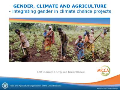 GENDER, CLIMATE AND AGRICULTURE - integrating gender in climate chance projects FAO’s Climate, Energy and Tenure Division  Why gender and climate change