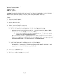 P-20 Executive Sponsor Meeting Agenda - Feb. 17, 2011