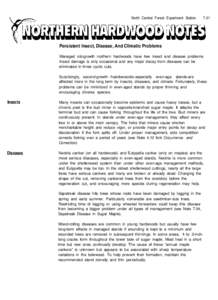 Canker / Forestry / Tree diseases / Shelterwood cutting / Nectria / Acer saccharum / Maple / Old-growth forest / Eutypella parasitica / Flora of the United States / Biology / Botany