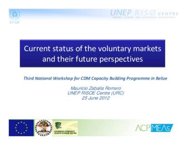 Current status of the voluntary markets  and their future perspectives Third National Workshop for CDM Capacity Building Programme in Belize  Mauricio Zaballa Romero UNEP RISOE Centre (URC)