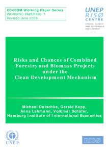 CD4CDM Working Paper Series WORKING PAPER NO. 1 Revised June 2006 Risks and Chances of Combined Forestry and Biomass Projects