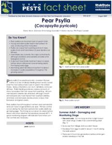 ENT[removed]Published by Utah State University Extension and Utah Plant Pest Diagnostic Laboratory Pear Psylla