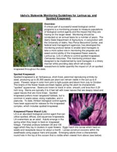 Idaho’s Statewide Monitoring Guidelines for Larinus sp. and Spotted Knapweed: Overview: A critical part of successful weed biological control programs is a monitoring process to measure populations of biological contro