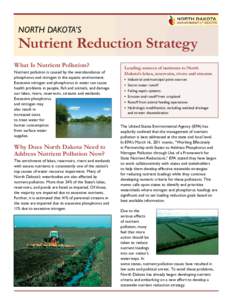 NORTH DAKOTA’S  Nutrient Reduction Strategy What Is Nutrient Pollution? Nutrient pollution is caused by the overabundance of phosphorus and nitrogen in the aquatic environment.