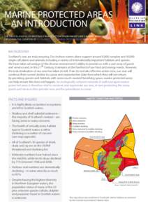 Squat lobster © Paul Kay  MARINE PROTECTED AREAS – AN INTRODUCTION  1