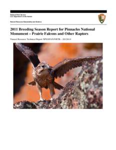 2006 RAPTOR BREEDING SEASON REPORT