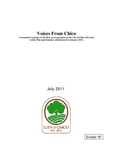 Microsoft Word - Final DAP Voices from Chico.doc