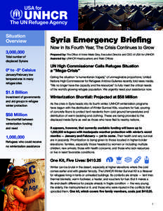 Situation Overview Syria Emergency Briefing  3,000,000