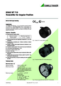 KINAX WT 710 Transmitter for Angular Position Unit in ﬁeld type housingII 2 G