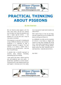 PRACTICAL THINKING ABOUT PIGEONS By Jim Emerton We can theorise about pigeons until the cows come home, and yet this cerebral work out does not reveal any absolute truth