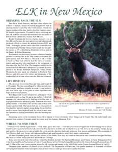 ELK in New Mexico BRINGING BACK THE ELK The elk of North America, and their close relative the red deer of Europe, inspire the human imagination with an intensity rarely fostered by other wild animals. Nearly the largest