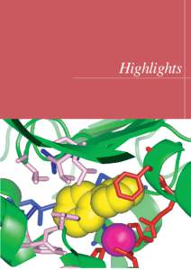 Highlights  HIGHLIGHTS 1. Atomic and Molecular Science …………………………………………………………………………………… 5 1-1 Lifetime-resolved Fluorescence Spectroscopy as a Sensitive To