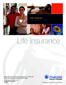 VUL Protector 2014 Consumer Brochure