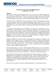 Arundinoideae / Flora of Canada / Flora of the United States / Halophytes / Phragmites / Lake Saint Clair / Wetland / Clay Township /  Michigan / Harsens Island / Geography of Michigan / Geography of the United States / Metro Detroit